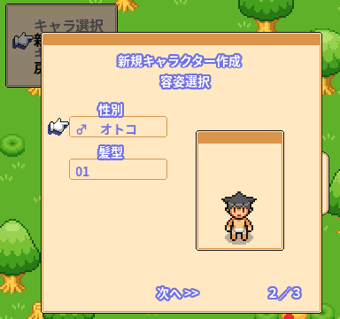 性別と髪型を選ぶ容姿選択画面